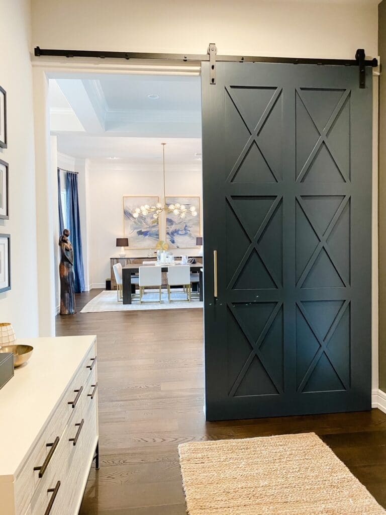 Modern Barn Door